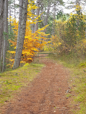 Causse de Mende à Brenoux
