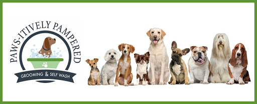 Paws-itively Pampered Grooming & Self Wash