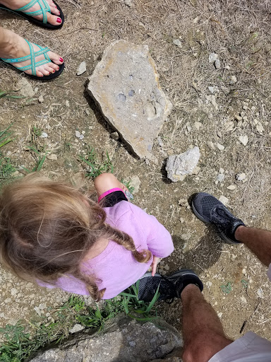 Park «Trammel Fossil Park», reviews and photos, Tramway Dr, Sharonville, OH 45241, USA