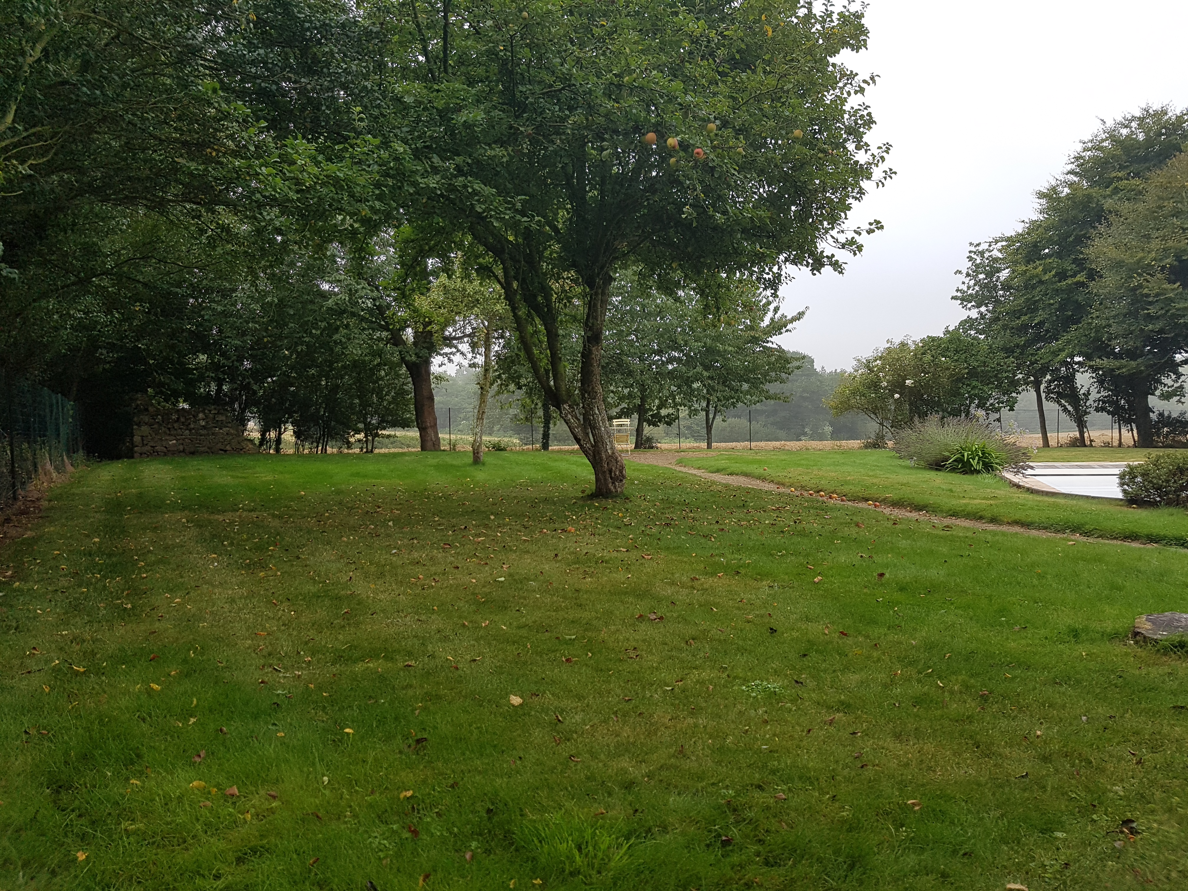 Photo n° 6 de l'avis de Dan. fait le 09/09/2017 à 14:11