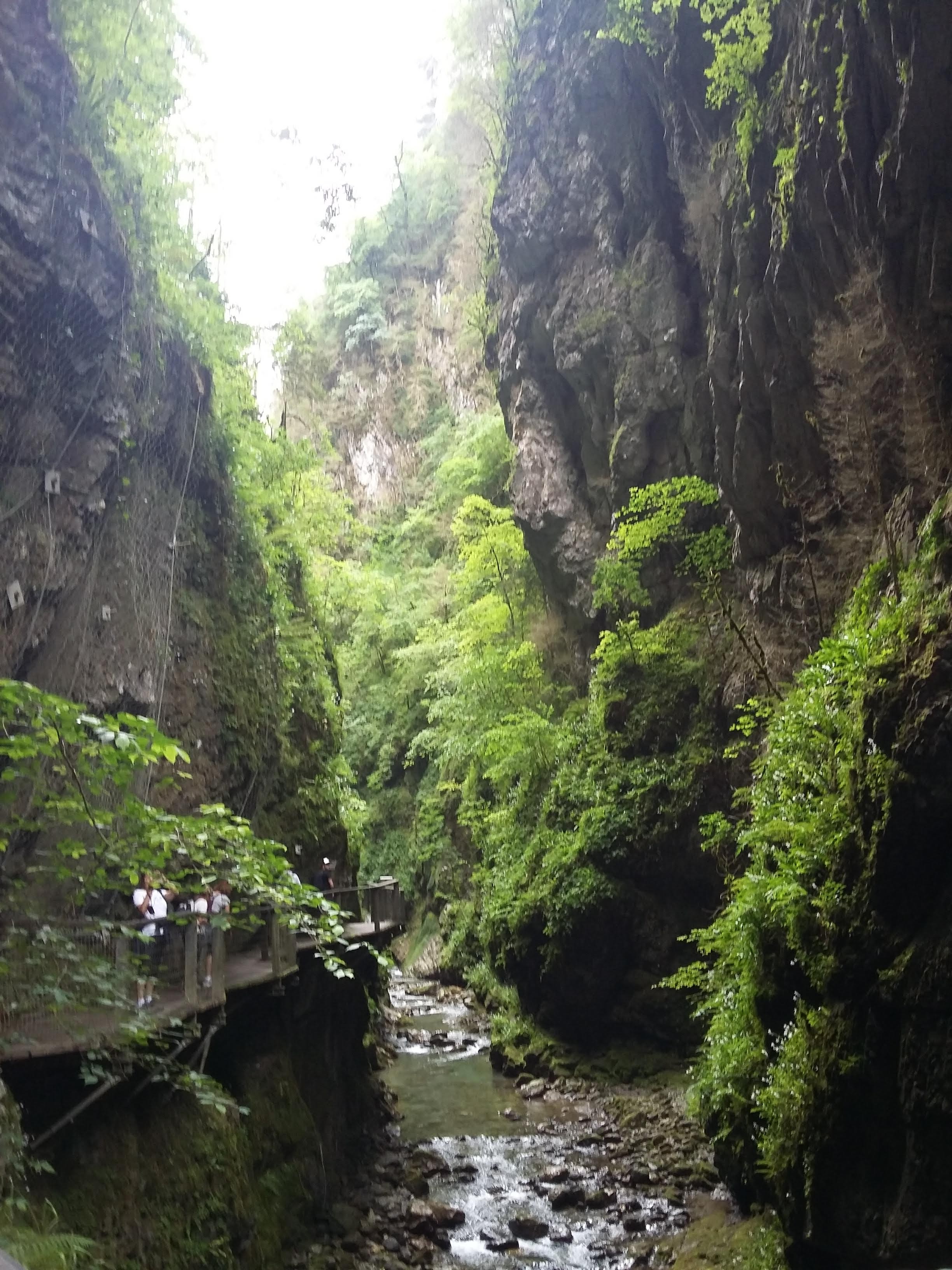 Photo n° 4 de l'avis de Lysiane.o fait le 04/07/2019 à 10:53