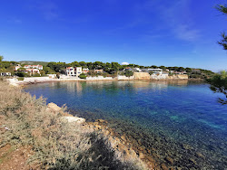 Plage du Grand Rouveau'in fotoğrafı çok temiz temizlik seviyesi ile