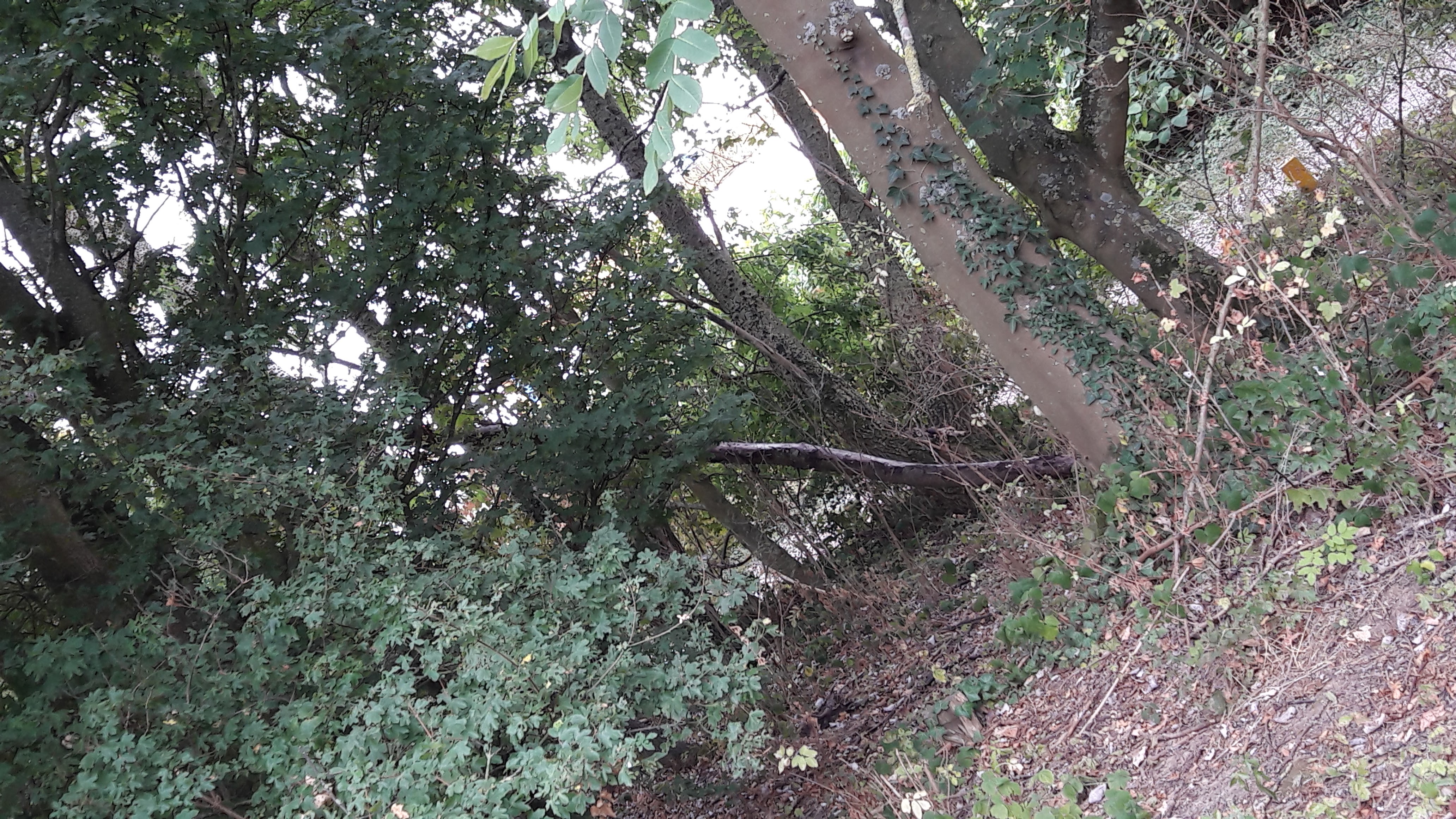 Photo n° 21 de l'avis de Alfa.l fait le 12/09/2019 à 04:09