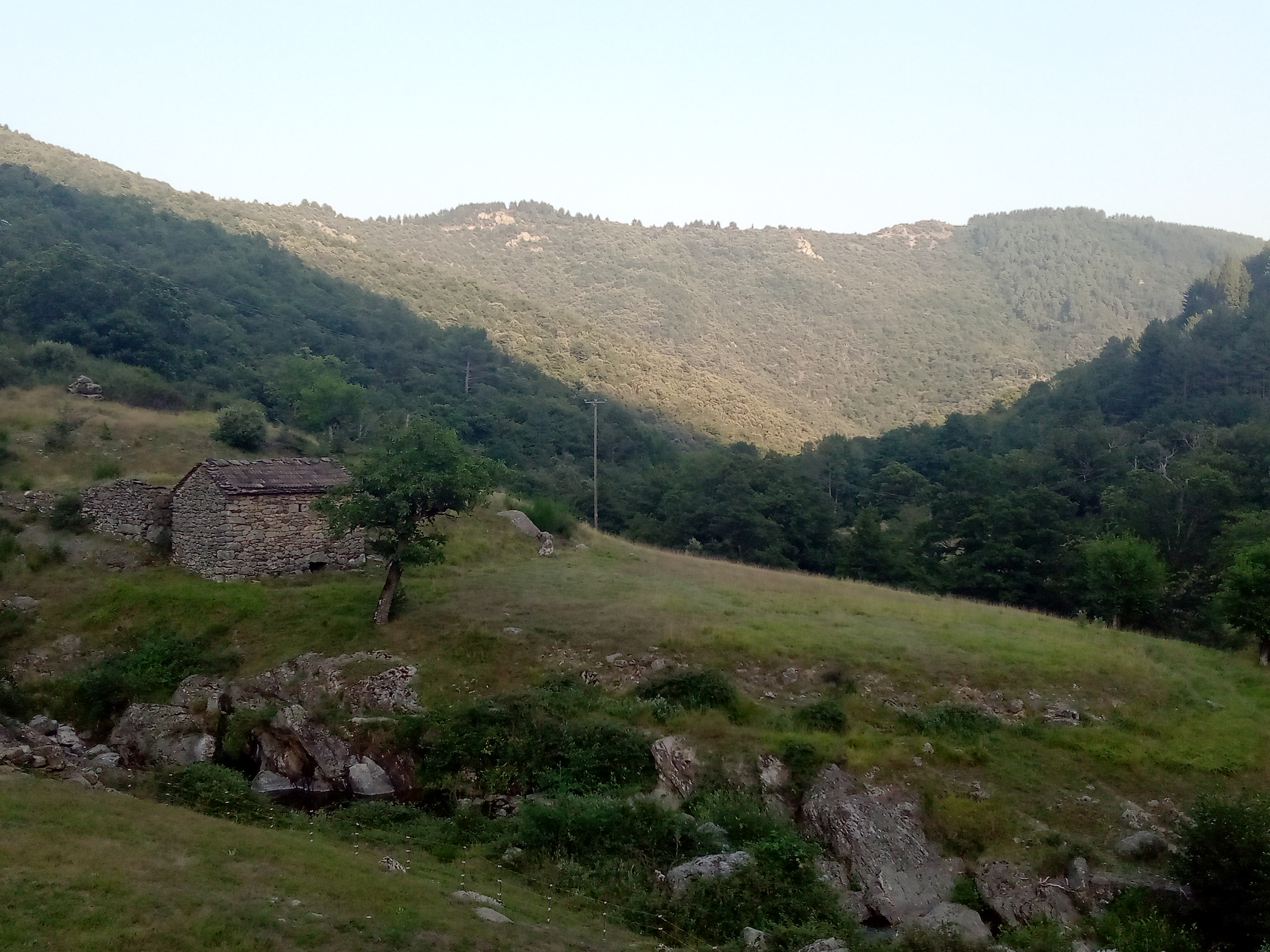 Photo n° 12 de l'avis de Dalia.E fait le 14/08/2021 à 17:40