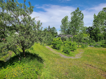 Forêt Nourricière de Portneuf