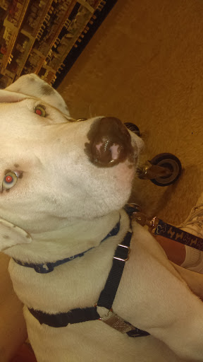 Pet Supply Store «PetSmart», reviews and photos, 1450 Spring Meadows Dr, Holland, OH 43528, USA