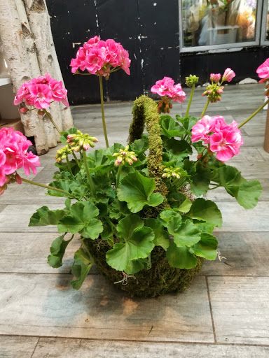 Florist «Fairfield Florist», reviews and photos, 1998 Post Rd, Fairfield, CT 06824, USA