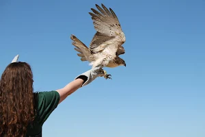 Alabama Wildlife Center image