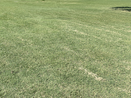 Golf Course «Pueblo El Mirage Golf Course», reviews and photos, 11201 N El Mirage Rd, El Mirage, AZ 85335, USA