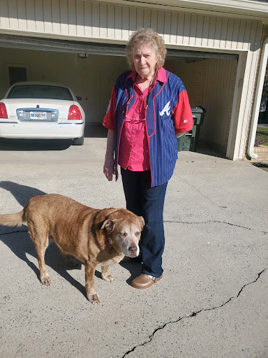 Ocmulgee Veterinary Clinic image