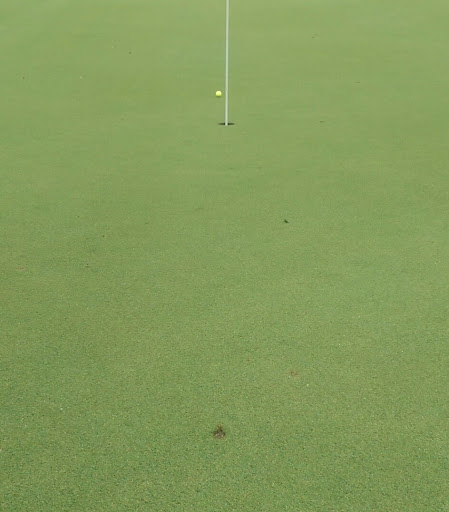 Golf Course «Braemar Golf Course», reviews and photos, 6364 John Harris Dr, Minneapolis, MN 55439, USA