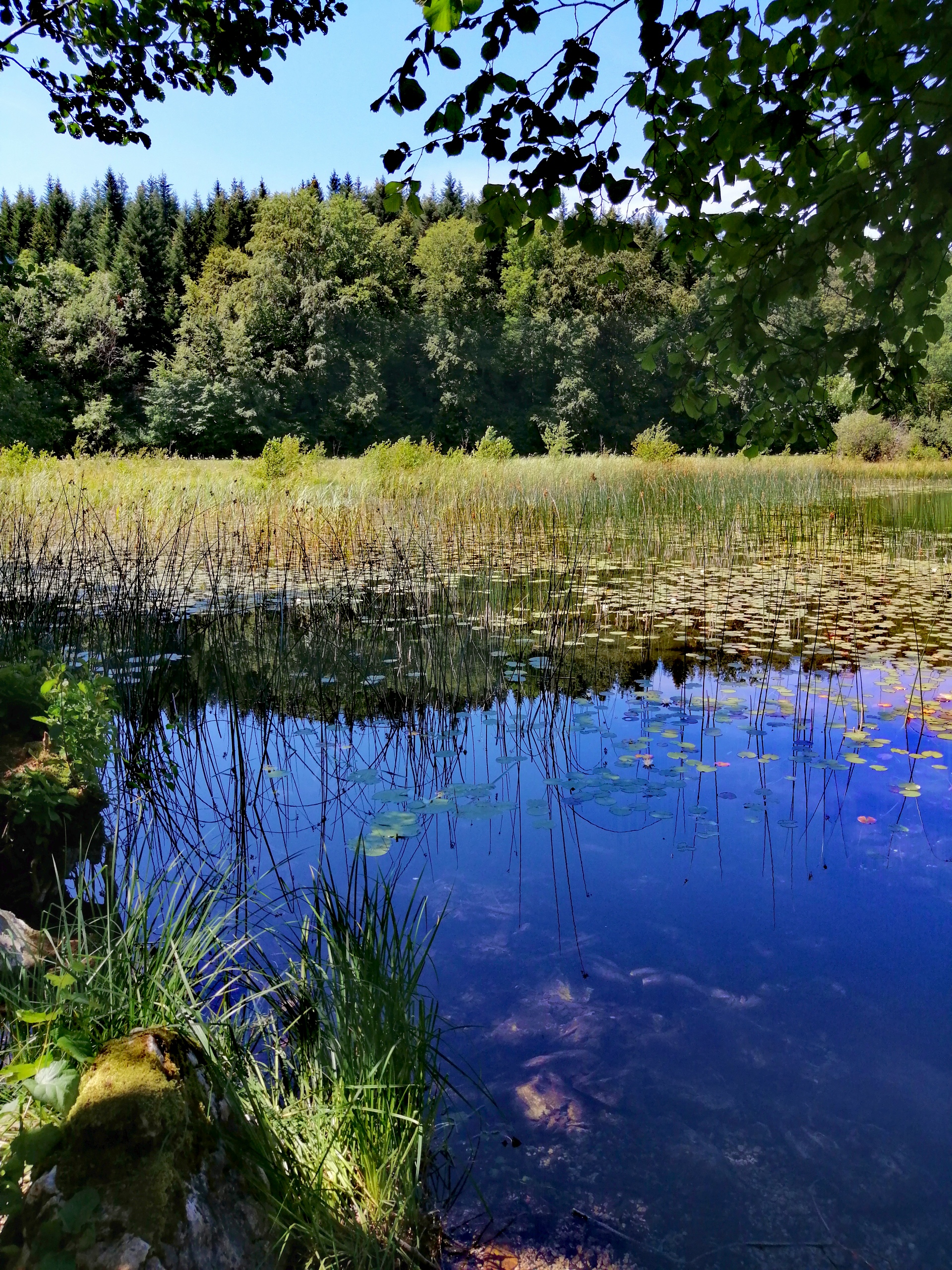 Photo n° 9 de l'avis de Au.i fait le 12/08/2020 à 16:57
