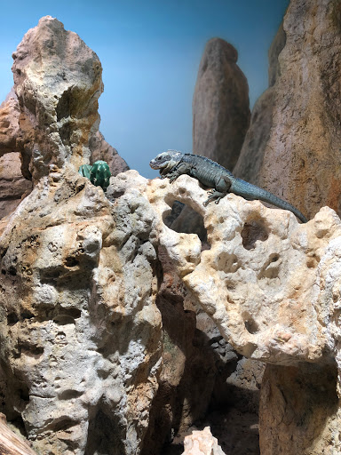 Zoo «Zoo Atlanta», reviews and photos, 800 Cherokee Ave SE, Atlanta, GA 30315, USA