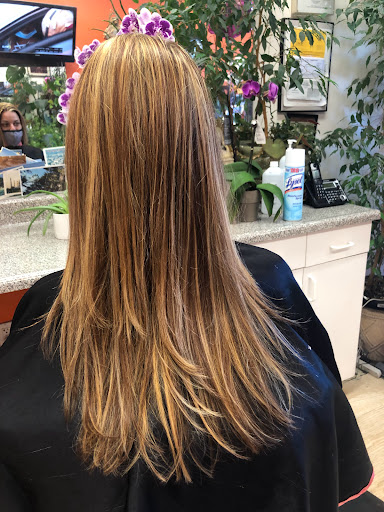 Hair Salon «University Hair Care», reviews and photos, 1444 University Ave, Berkeley, CA 94702, USA