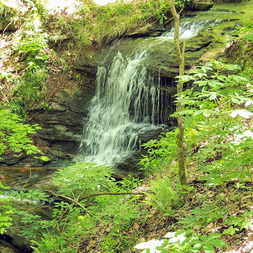 Park «Little Mulberry Park», reviews and photos, 3855 Hog Mountain Rd, Hoschton, GA 30548, USA