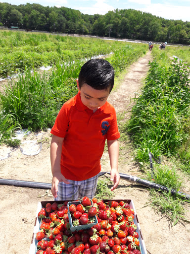 Golf Course «Tamarack Golf Course», reviews and photos, 97 Hardenburg Ln, East Brunswick, NJ 08816, USA