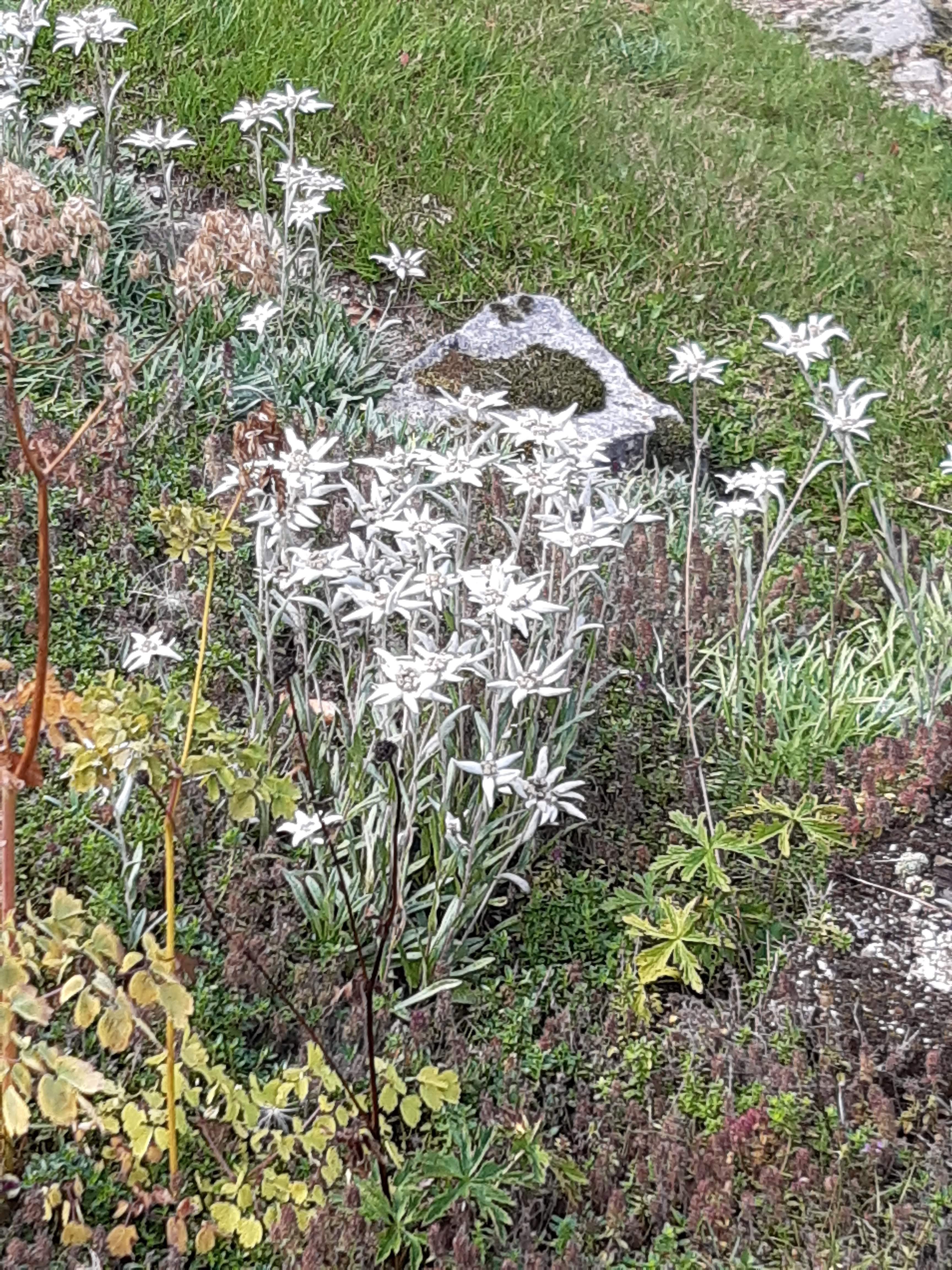 Photo n° 10 de l'avis de Patrice.a fait le 09/09/2023 à 15:15