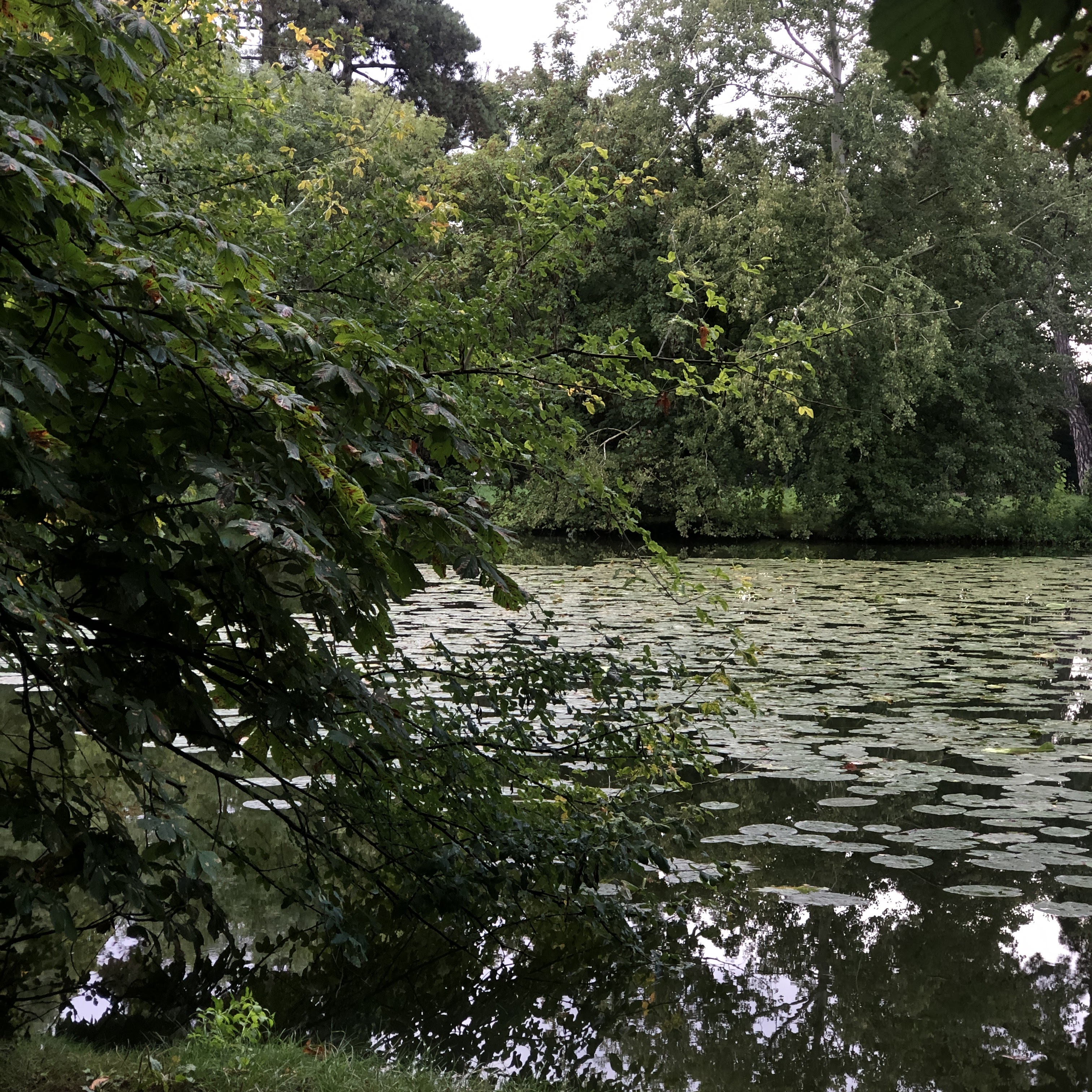 Photo n° 8 de l'avis de Munkhkhuslen.a fait le 29/08/2023 à 23:03