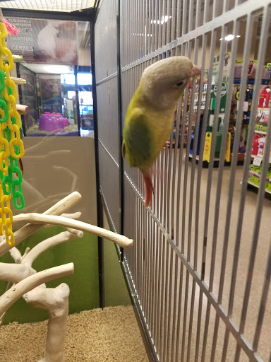 Pet Supply Store «PetSmart», reviews and photos, 7260 Orchard Lake Rd, West Bloomfield Township, MI 48322, USA