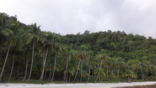 The Sanctuary Cove photo #2
