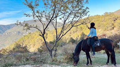 Soubrana Cheval Montagne à Peille