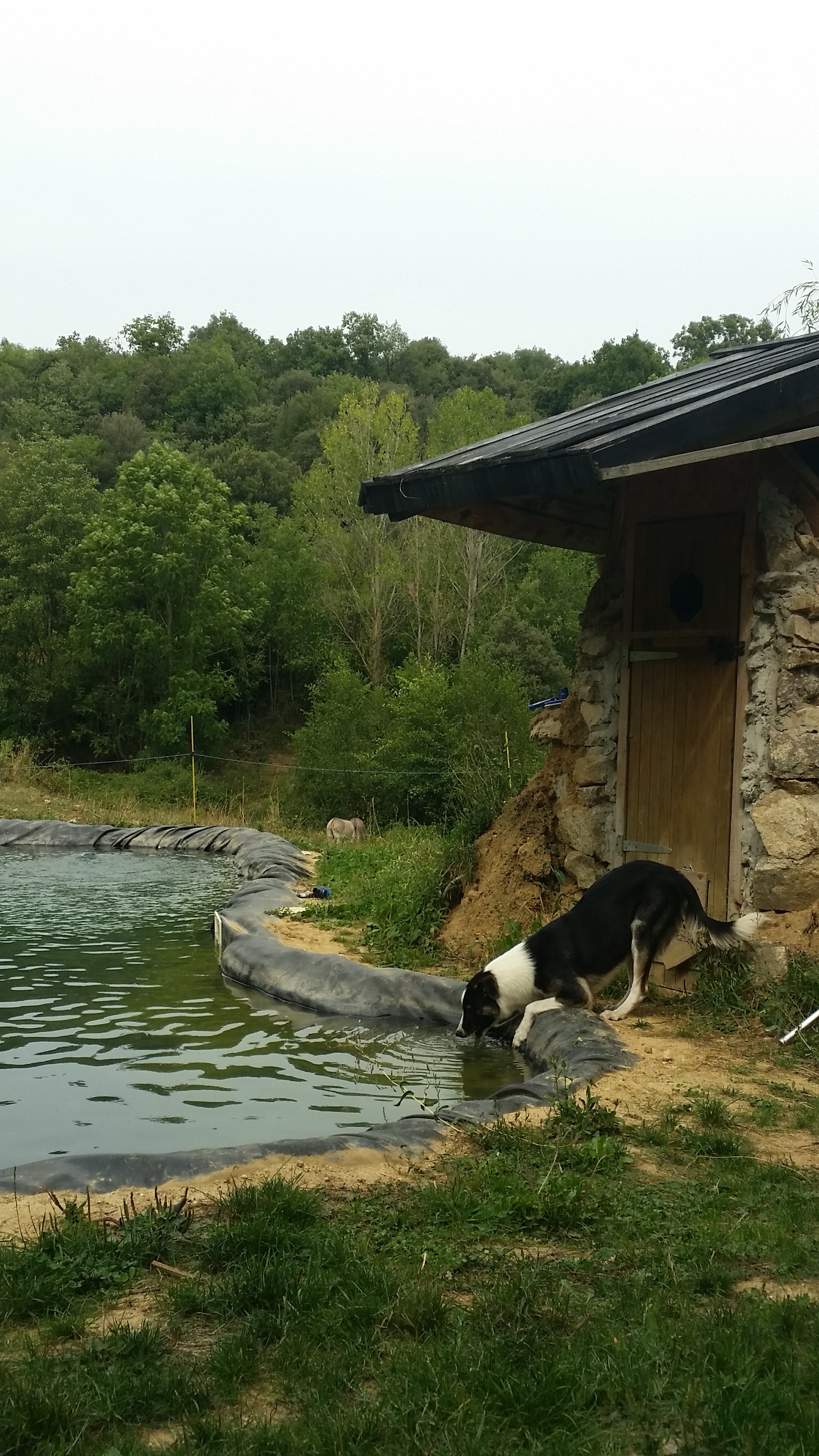 Photo n° 1 de l'avis de Sandra.h fait le 28/08/2019 à 09:21