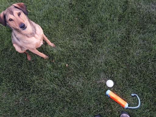 Park «Snowy River Park», reviews and photos, 6152 Snowy River Dr, Colorado Springs, CO 80923, USA