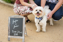 Barks & Bones Boutique - Photo 7 - Car repair in Rancho Cucamonga, CA, San Bernardino