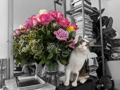 Florist «Flowers By Ami», reviews and photos, 1 Washington St, Canton, MA 02021, USA