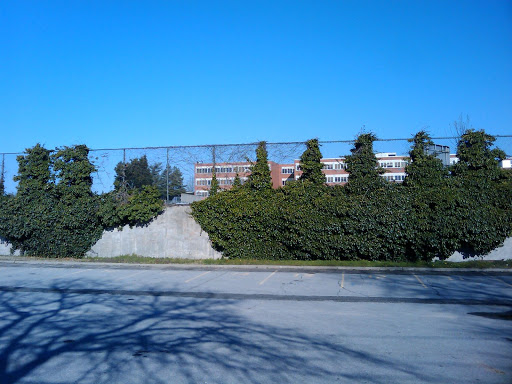 Park «Dutch Broadway Park», reviews and photos, 2161 Dutch Broadway, Elmont, NY 11003, USA