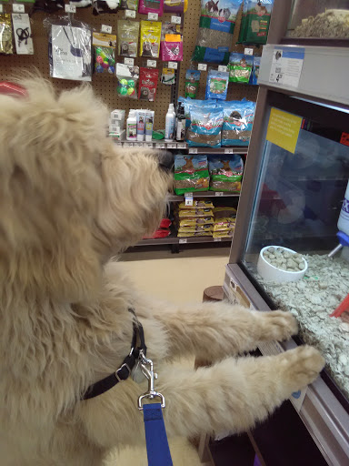 Pet Supply Store «Petco Animal Supplies», reviews and photos, 1150 Concord Ave #160, Concord, CA 94520, USA