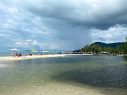 Starfish Beach'in fotoğrafı - rahatlamayı sevenler arasında popüler bir yer