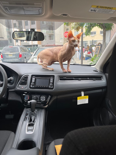 Honda Dealer «Bay Ridge Honda», reviews and photos, 8801 4th Ave, Brooklyn, NY 11209, USA