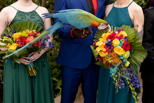 Florist «Forget Me Not Flowers & Gifts», reviews and photos, 423 Crain Hwy S, Glen Burnie, MD 21061, USA