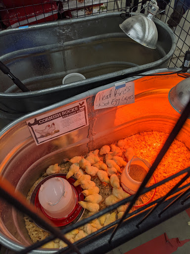 Home Improvement Store «Tractor Supply Co.», reviews and photos, 2401 NY-52, Pine Bush, NY 12566, USA