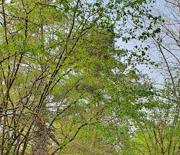 Park am Heidekampgraben photo