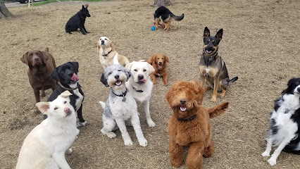 Happy Paws Dog Daycare & Boarding