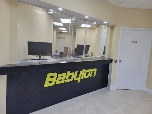 Babylon Monetary Services Inc