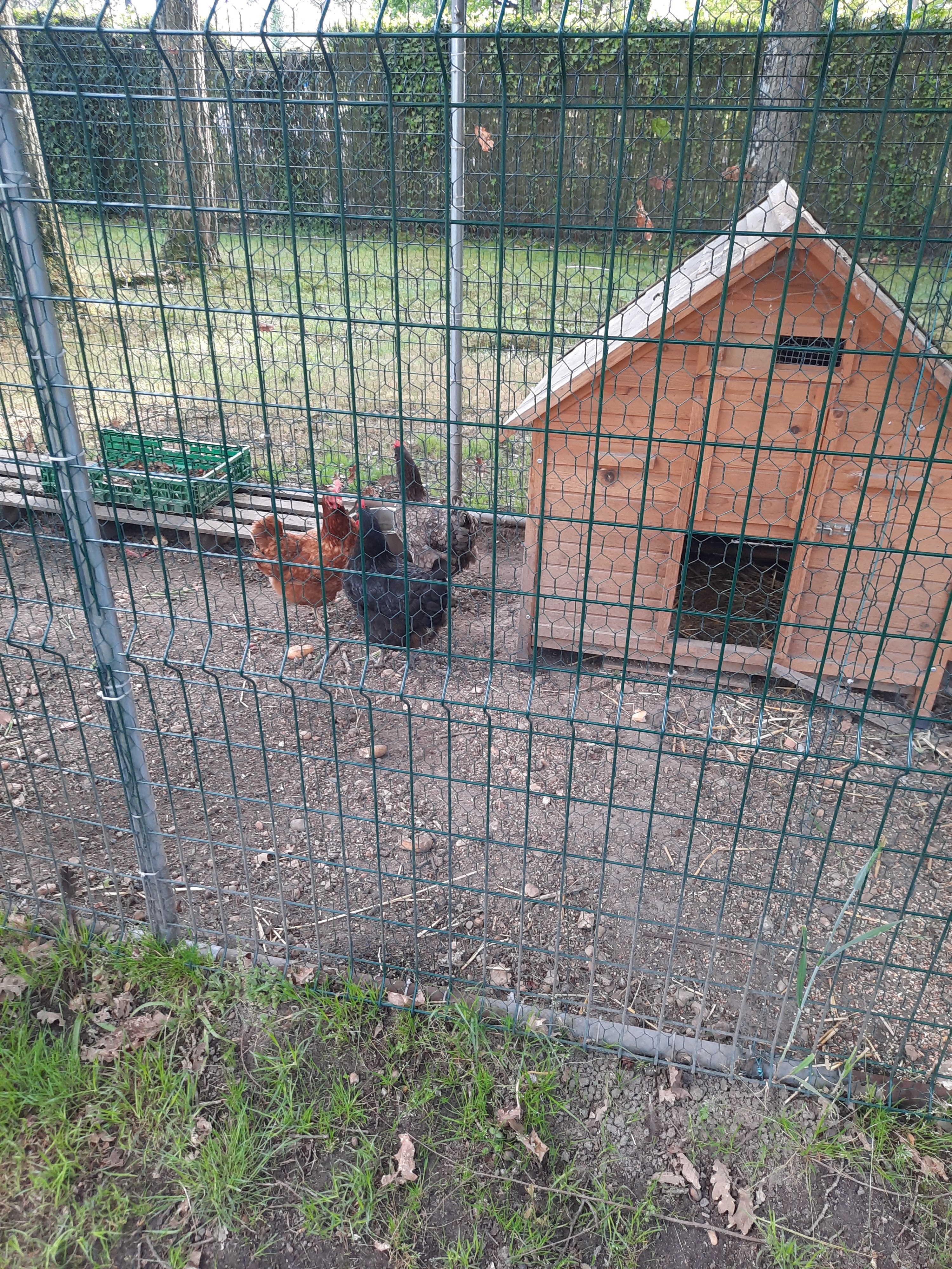Photo n° 7 de l'avis de nadege.g fait le 08/06/2021 à 21:10