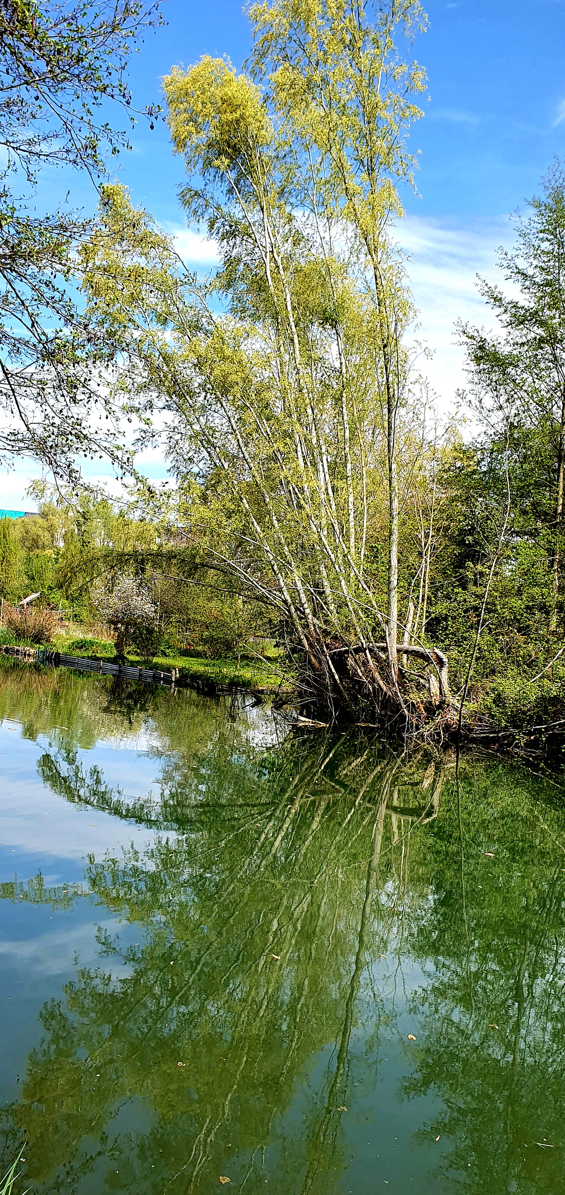 Photo n° 9 de l'avis de CRISTOBALDIA.a fait le 21/04/2023 à 18:49