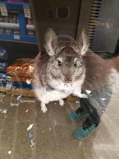 Pet Supply Store «PetSmart», reviews and photos, 620 N West End Blvd, Quakertown, PA 18951, USA