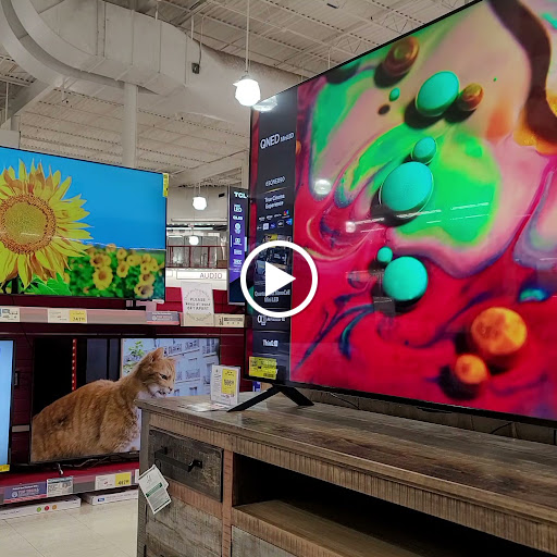 Department Store «BrandsMart USA», reviews and photos, 821 SW Natura Blvd, Deerfield Beach, FL 33441, USA