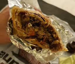 BURROTRON PERCHERONES BY BT photo