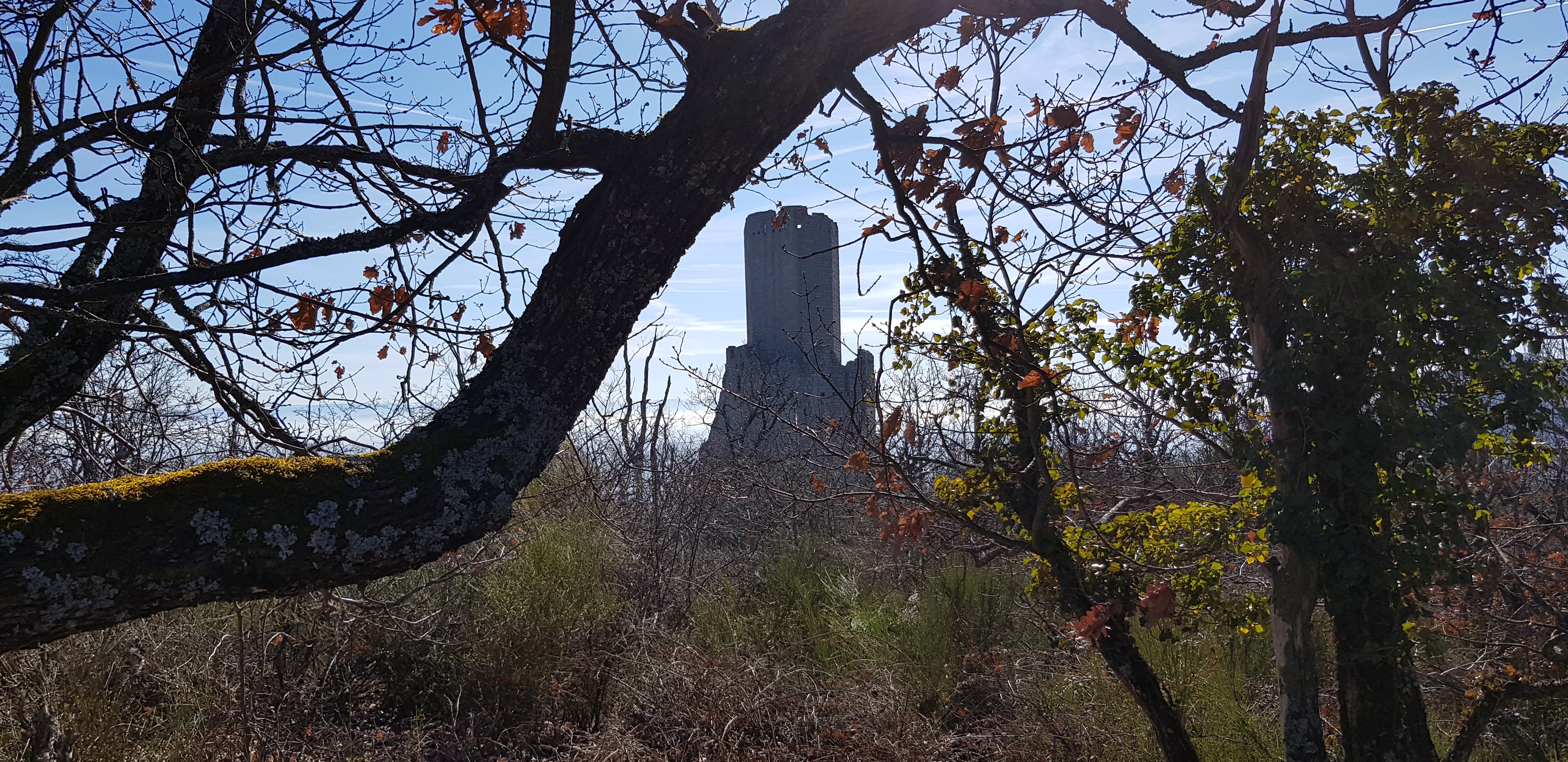 Photo n° 11 de l'avis de Denis.� fait le 21/02/2019 à 07:01