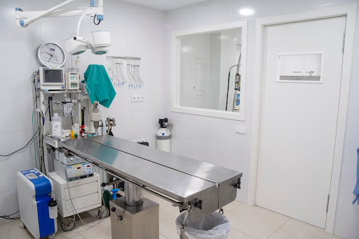 Hospital Veterinario Faucan | Mivet
