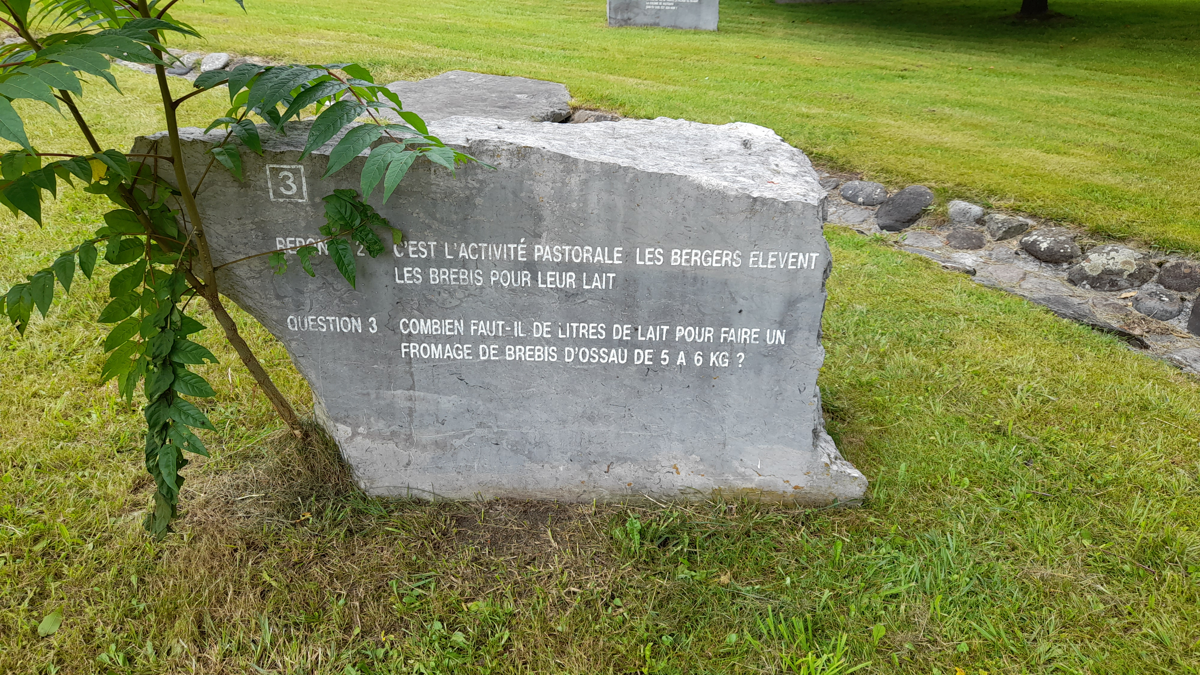 Photo n° 5 de l'avis de Ariane.o fait le 13/07/2023 à 11:18