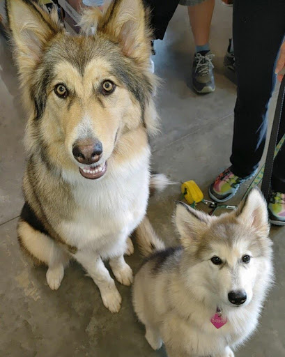 Pet Supply Store «Pet Barn», reviews and photos, 8191 Maple Lawn Blvd, Fulton, MD 20759, USA