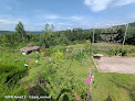 Jardin d'Une Figue dans le Poirier Girmont-Val-d'Ajol