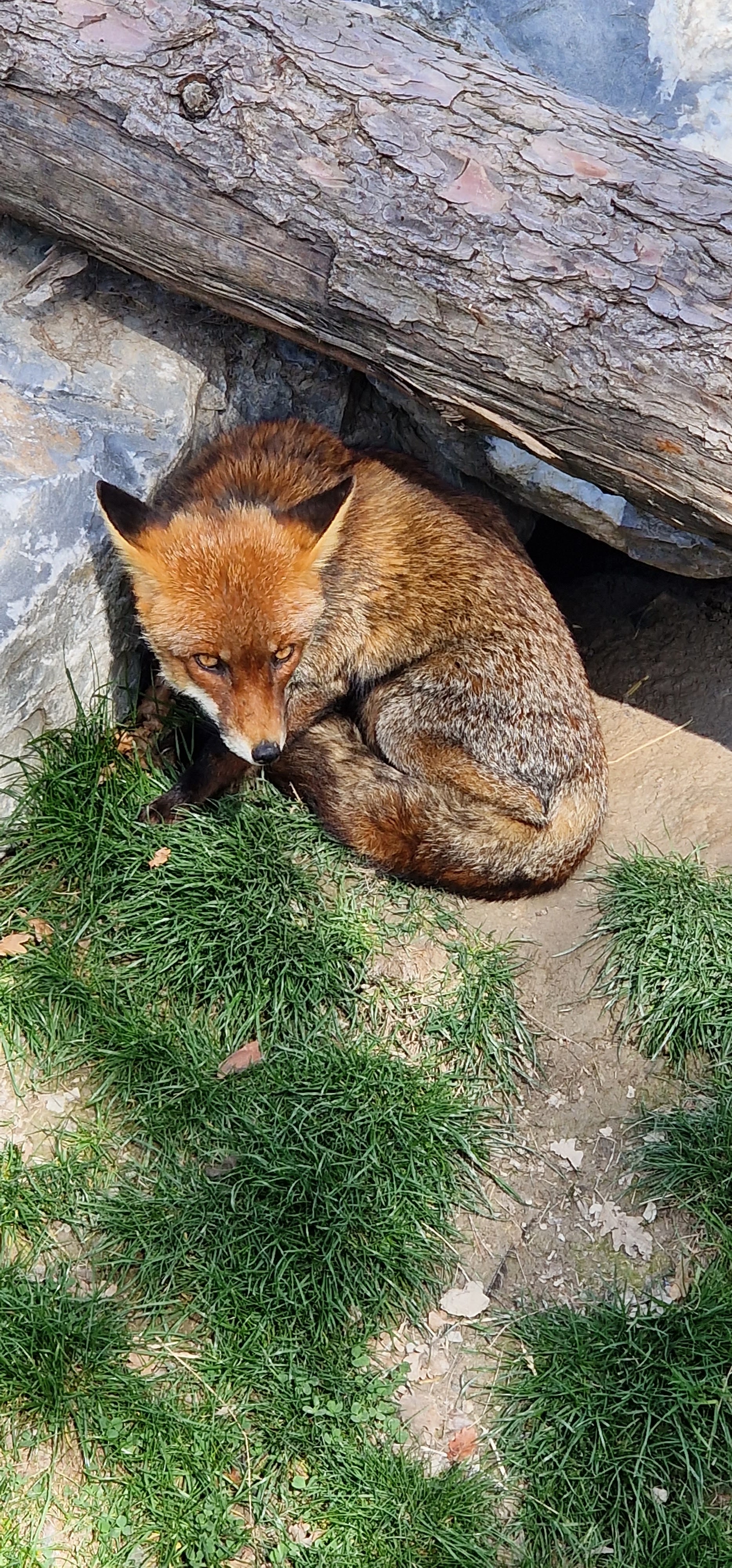 Photo n° 4 de l'avis de jean-philippe. fait le 02/05/2023 à 16:27