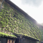 Photo n°2 de l'avis de Kevin.o fait le 24/04/2023 à 15:22 sur le  Brandiskeller à Lana